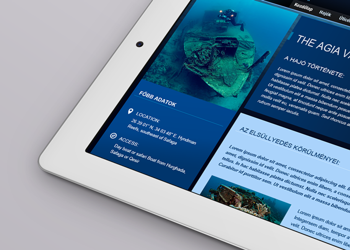Roncsmerülés microsite