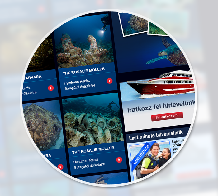 Roncsmerülés microsite